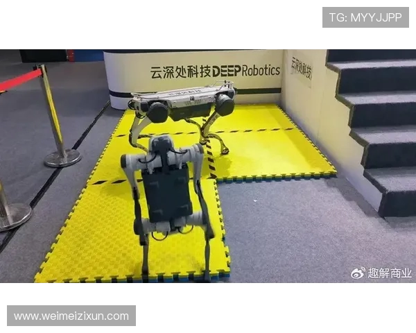 液压健身器材对比传统器械：静音、顺滑、安全性大比拼