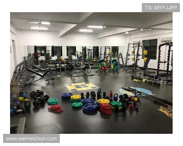 鞍山康乐佳健身器材:提升健康生活的理想选择 鞍山康乐佳健身器材:提升健康生活的理想选择