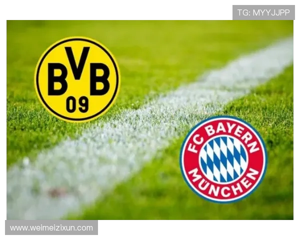 德甲与德乙的全球化球队布局分析