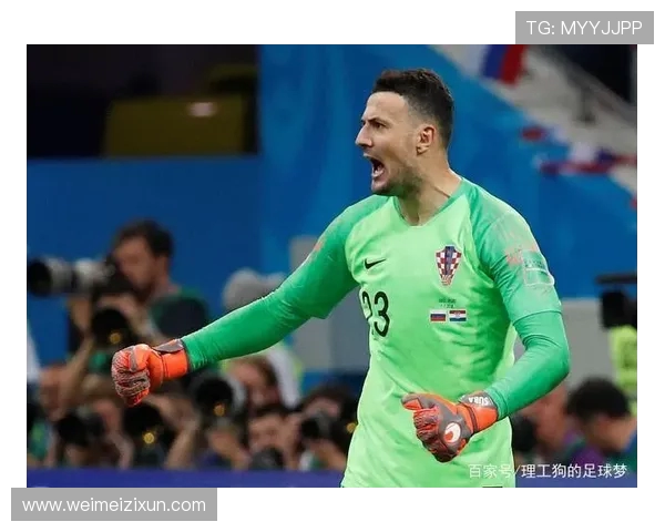 1998年世界杯丹麦传奇门神的荣耀与坚守绿茵战场上的铁血守护者