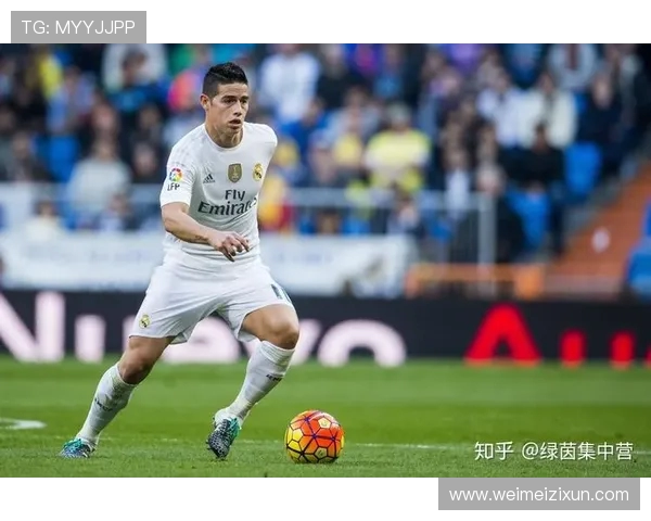 围绕J罗世界杯进球总数揭秘其传奇巅峰与历史地位的辉煌征程与数据解读